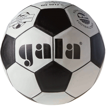 Nohejbalový míč Gala BN 5012 S